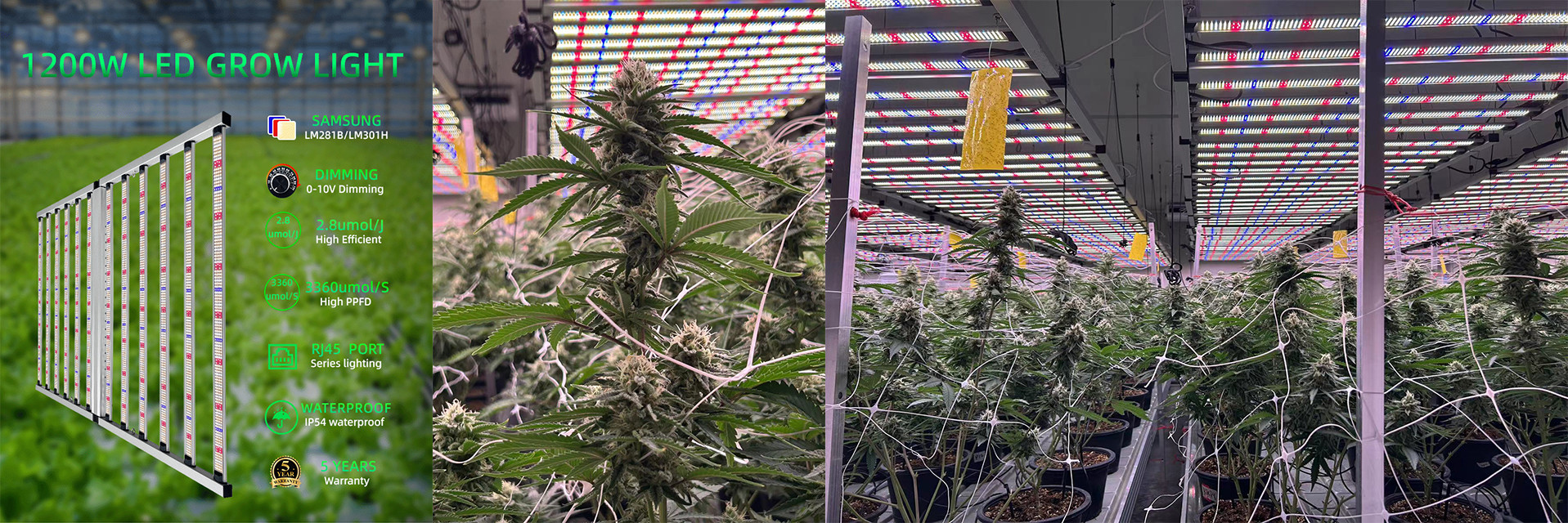 qualité Plein spectre mené pour se développer léger usine