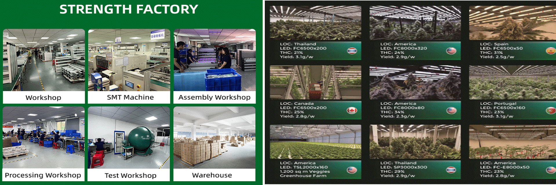 qualité Plein spectre mené pour se développer léger usine